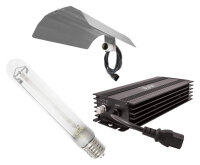 Lumii 600Watt Beleuchtungsset