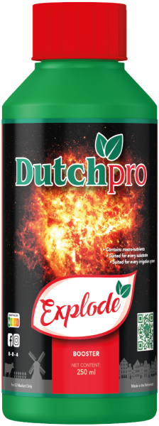 Dutchpro Explode