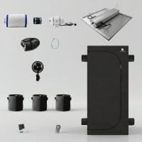 Caluma Set - 3 Pflanzen (100 x 100 cm, 320)