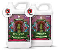 Terrapower Gorgona Power Bloom A + B