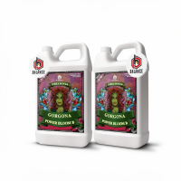 Terrapower Gorgona Power Bloom A + B