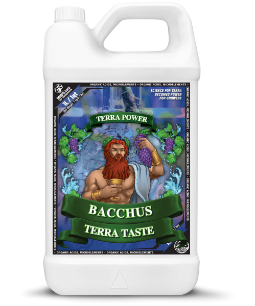 Terrapower Bacchus Terra Taste