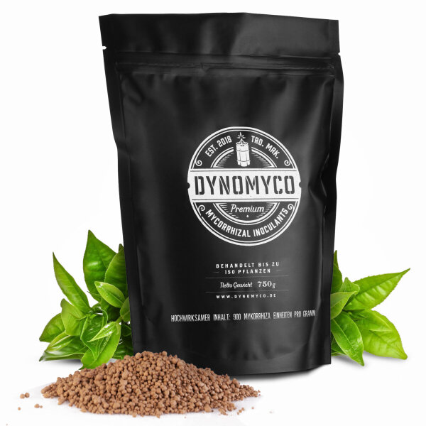 DynoMyco Mykorrhiza großer Beutel 750g