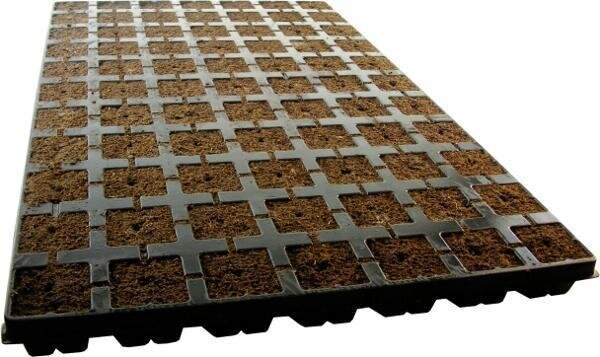 Eazy Plug 77er Tray Größe L