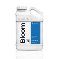 Athena Blended Bloom B 3.79L