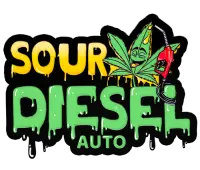 Autoflower Original Sour Diesel Fast Buds 2er