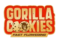 Fast Flowering Gorilla Cookies Fast Buds 2er