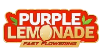 Fast Flowering Purple Lemonade Fast Buds 2er