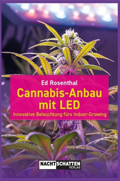 Cannabis-Anbau mit LED