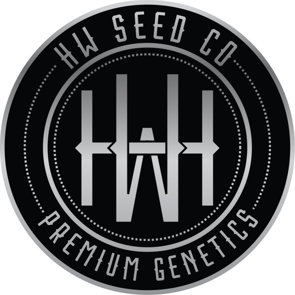 HW Seeds Jack Herer Autoflower 4x