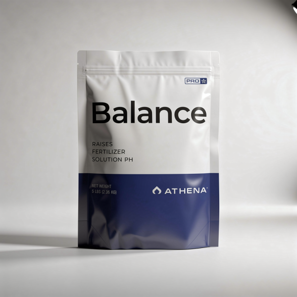 Athena PRO Balance 2lb 0,9kg