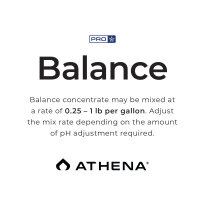 Athena PRO Balance 2lb 0,9kg