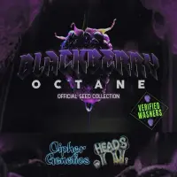 Cipher Genetics Blackberry Octane Seed Collection (Final...