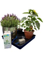 Autopot Easy2Go Kit