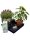 Autopot Easy2Go Kit