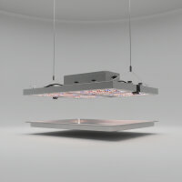 Caluma Growset L (100 × 100 cm, 320 W)